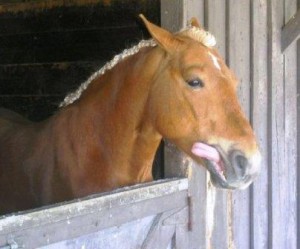 Theo's tongue